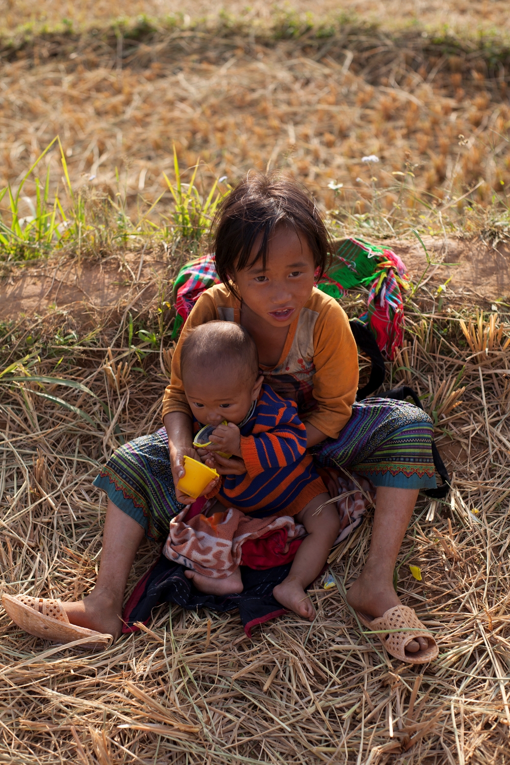 Những đứa trẻ con theo bố mẹ ra đồng mùa gặt.